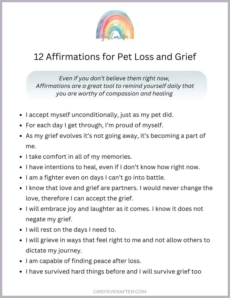 An image with a rainbow on top with a series of text that inclues 12 affirmations for pet loss