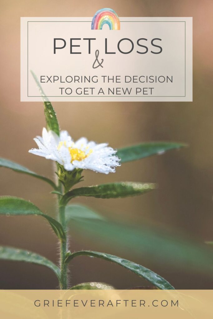 Pet Loss and Exploring the Decision to Get a New Pet