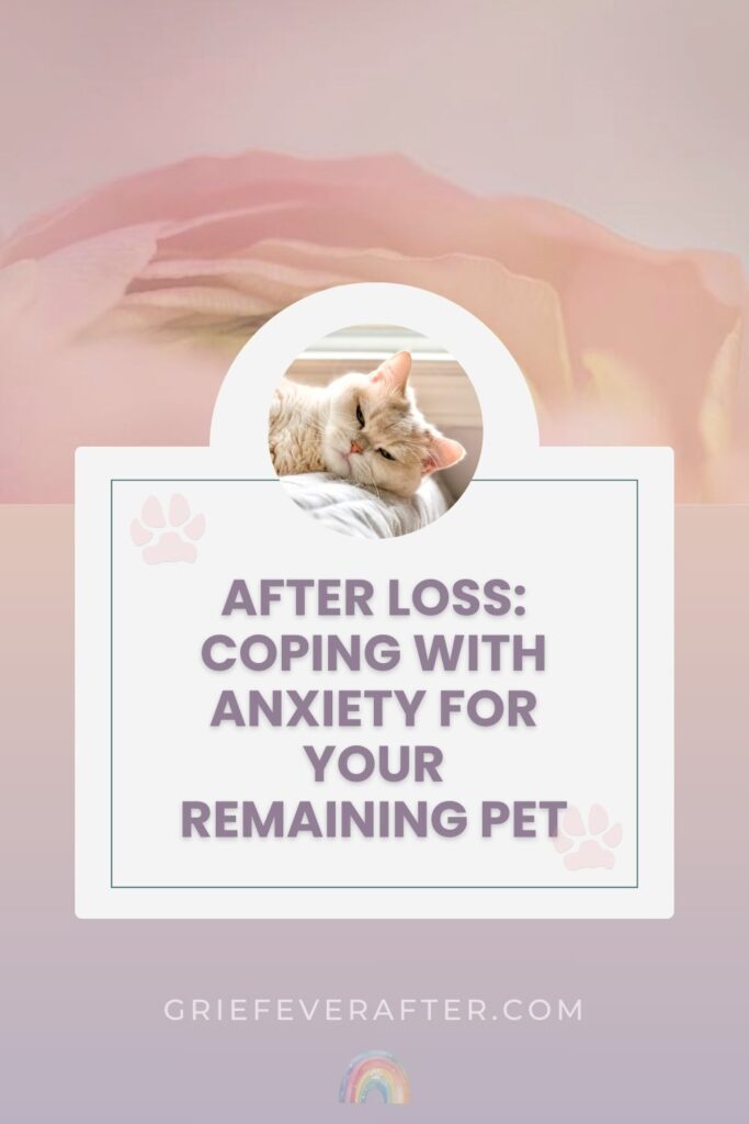 Image with a cat and the text after loss: coping with anxiety for your remaining pet