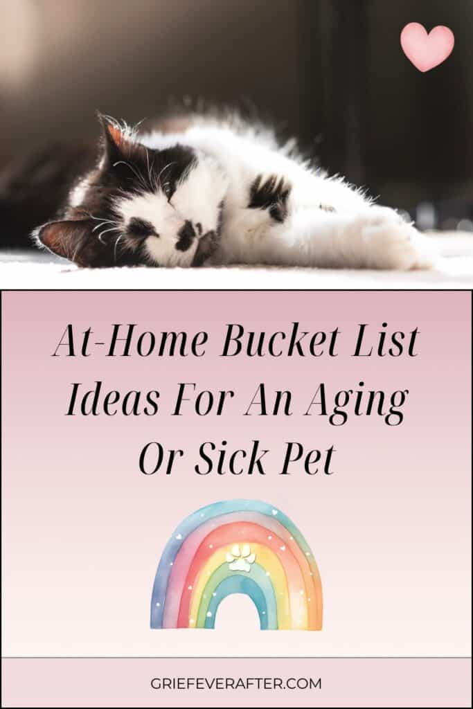 Bucket List for Pets