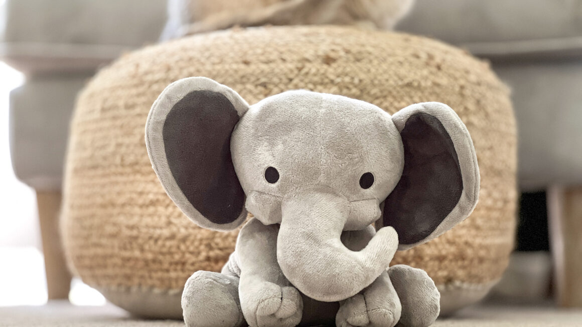 Elephant pet toy and cat