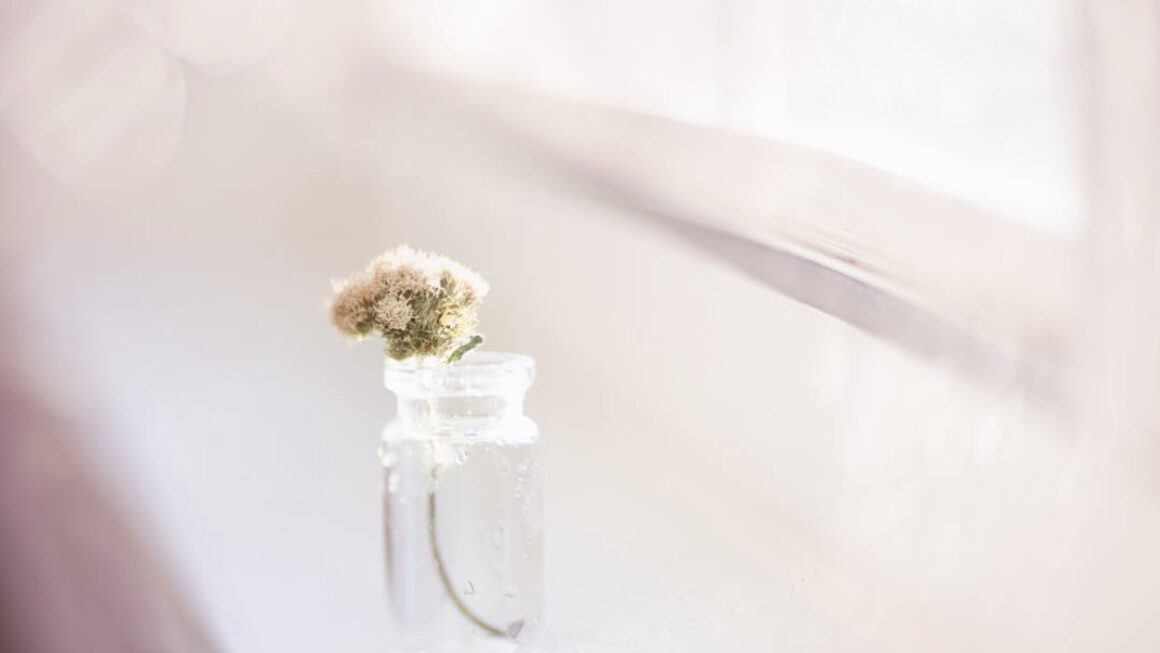 miniature flower on window sill