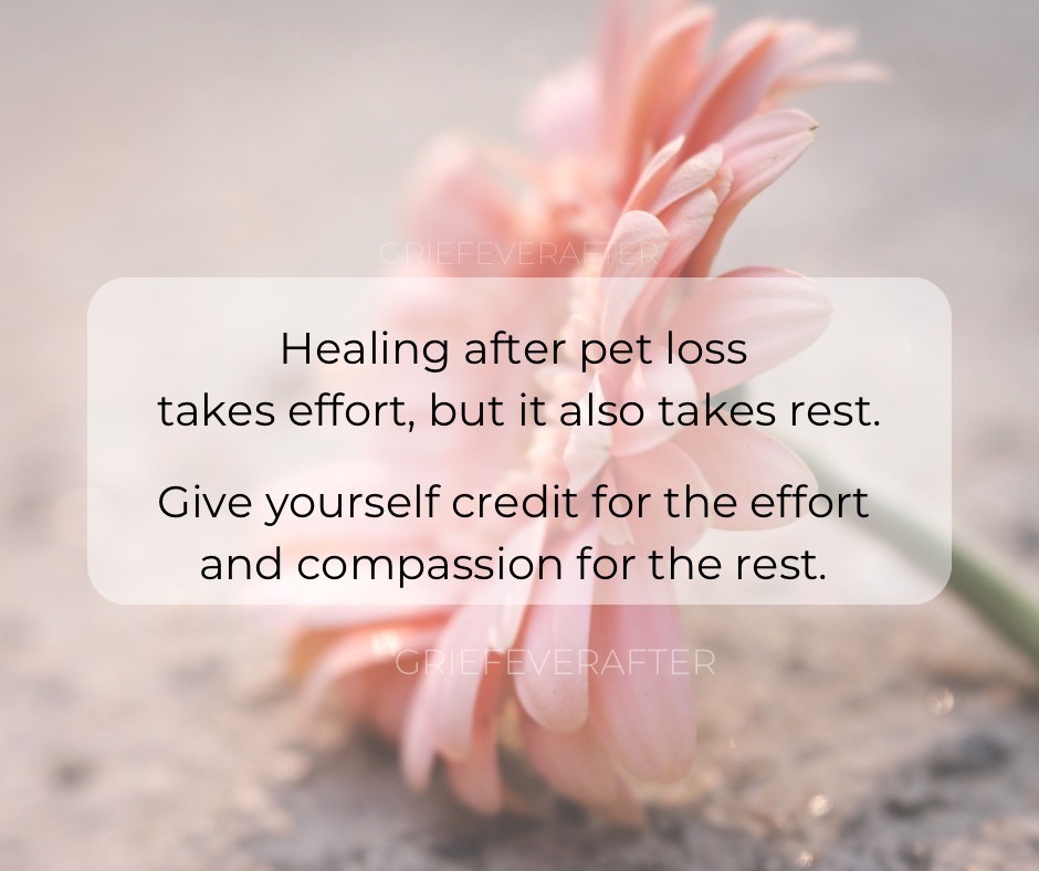 Grief quote saying healing after pet loss takes effort, but also takes rest. Give yourself credit for the effort and compassion for the rest