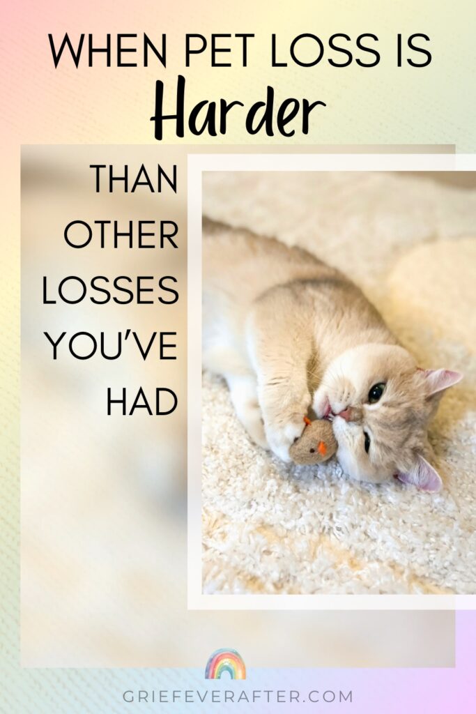 when pet loss is harder with a picture of a cat on a rug