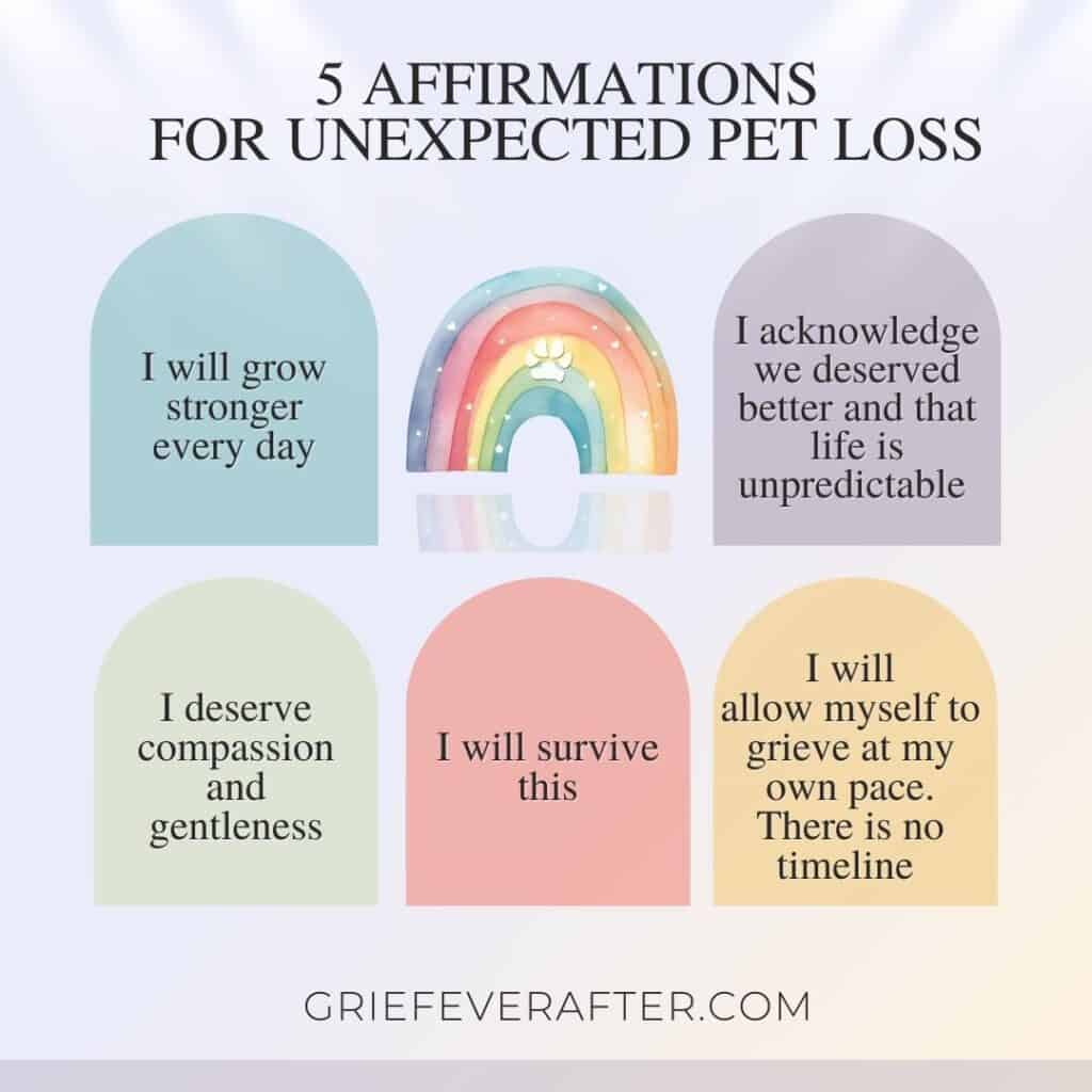 Unexpected Pet Loss Affirmations