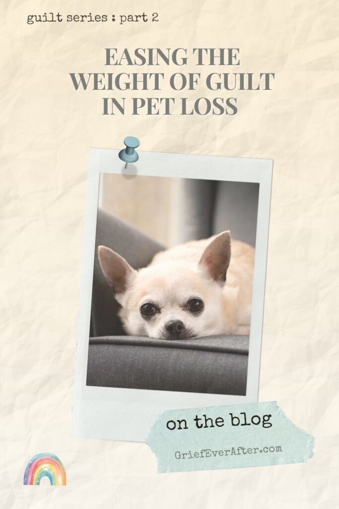 pin image with a dog on a chair