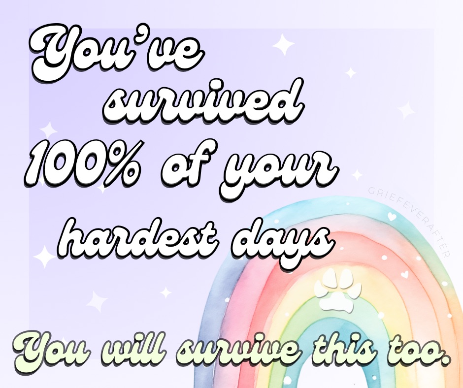 graphic that says you've survived 100% of your hardest days with a rainbow behind the words
