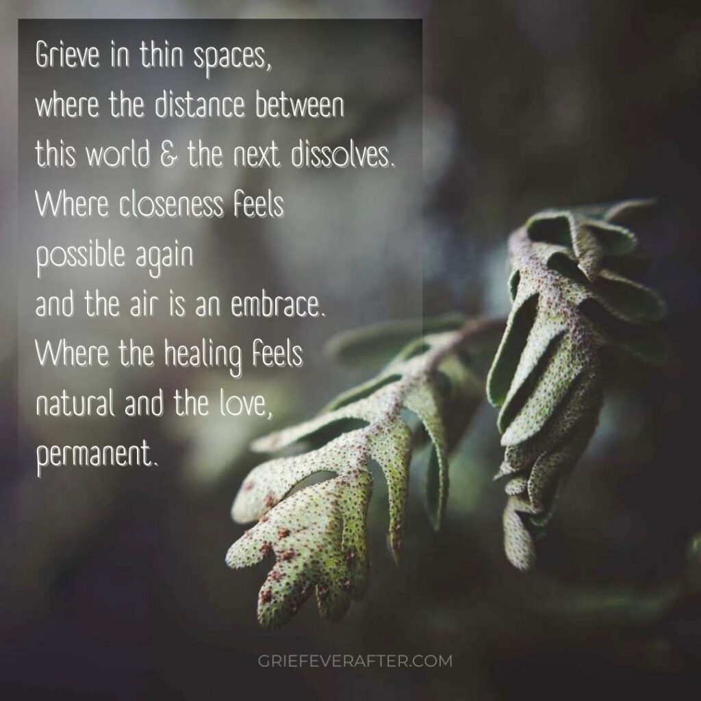 Image quote about grieving in thin spaces where we can feel close to our pets.
it says Grieve in thin spaces, where the distance between this world and the next dissolves. Where closeness feels possible again and the air is an embrace. There the healing feels natural and the love, permanent.
The backgrou is an upclose leaf in a dark forest