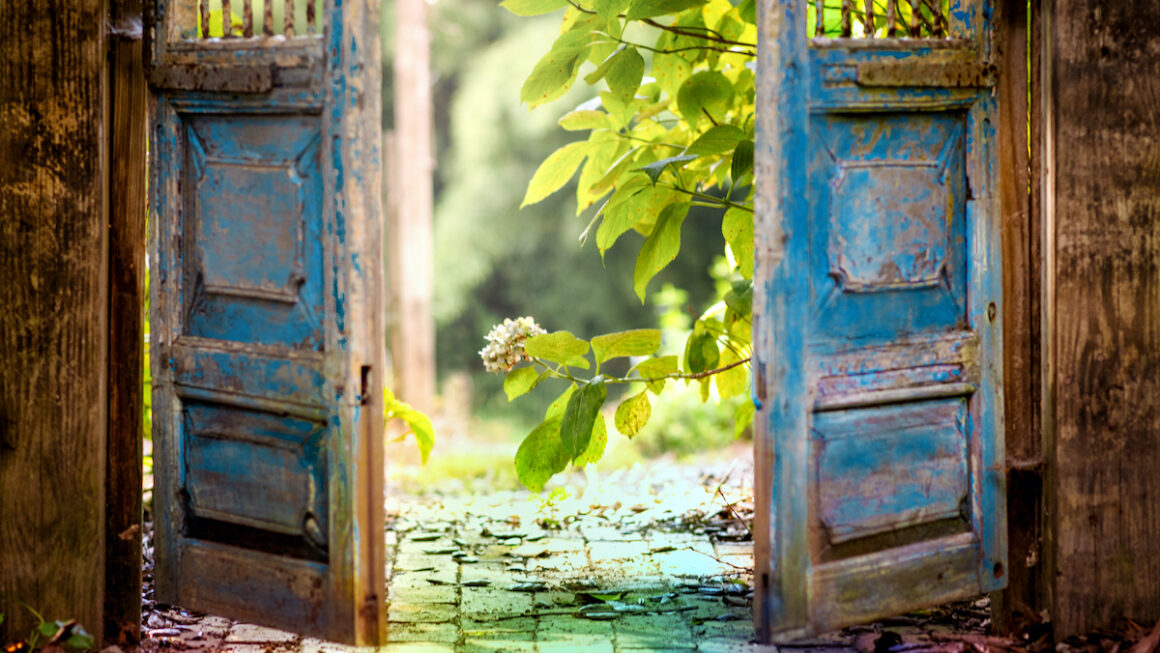 Picture of a rainbow path with two old wood doors opening. The door are painted blue but it's worn and chipped. Beyond the doors is light and beautiful greenery. A photographic depiction of pet loss grief.