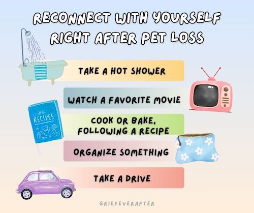 A graphic that repeats the five headings of the article which is about reconnecting with yourself after pet loss