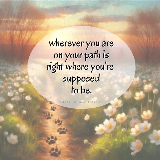 grief quote saying wherever you are on your path is right where you're supposed to be