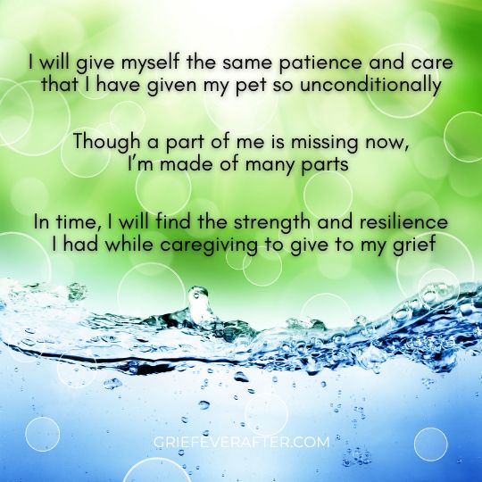 Affirmations for Pet Loss After Caregiving