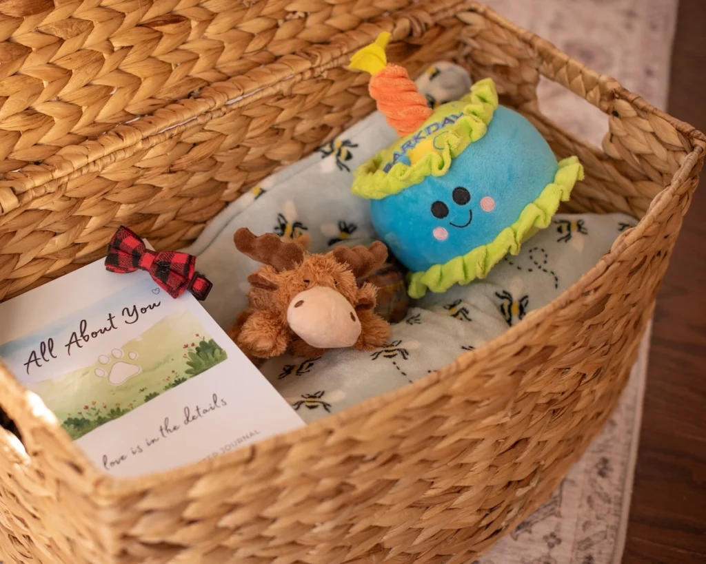wicker basket with the lid or cover up and inside are dog toys, a book and a blanket for a post about how to carry love and grief.